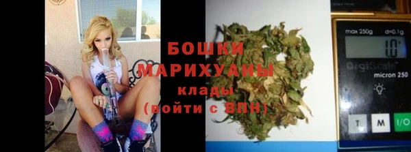хмурый Верея