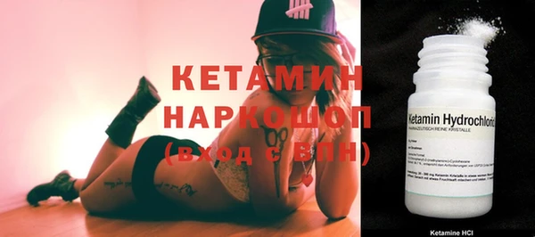 хмурый Верея