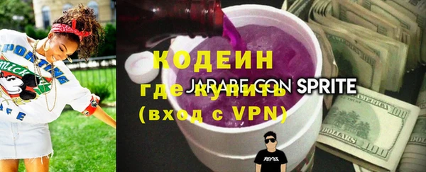 хмурый Верея
